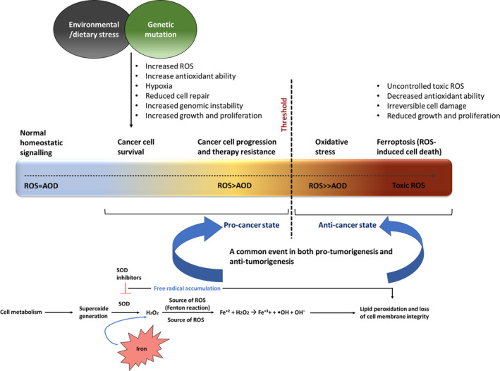 FIGURE 3