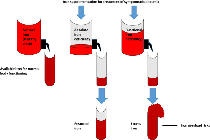 FIGURE 2