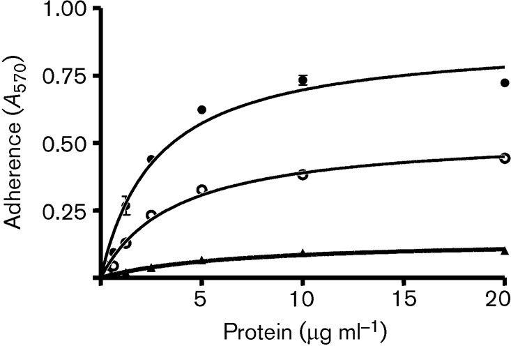 Fig. 8.