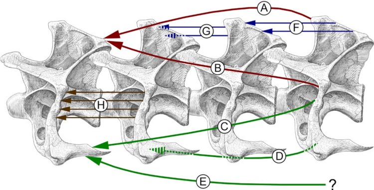 Figure 5