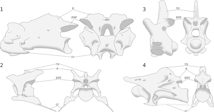 Figure 6