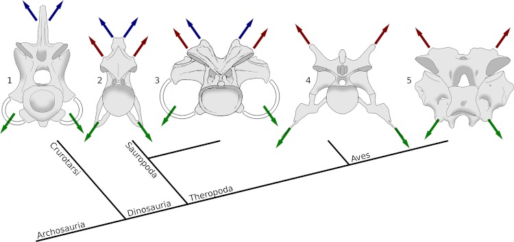 Figure 11