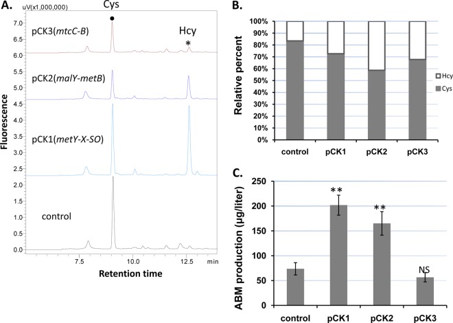 FIG 3