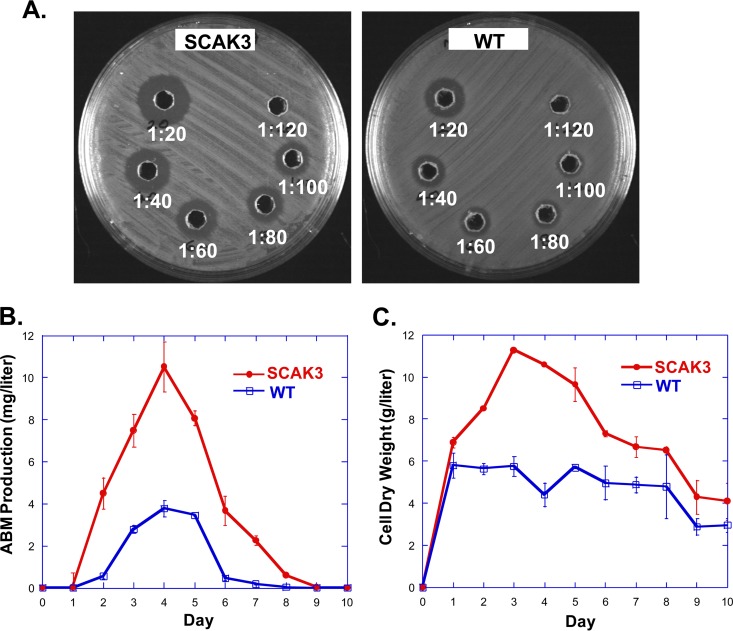 FIG 6