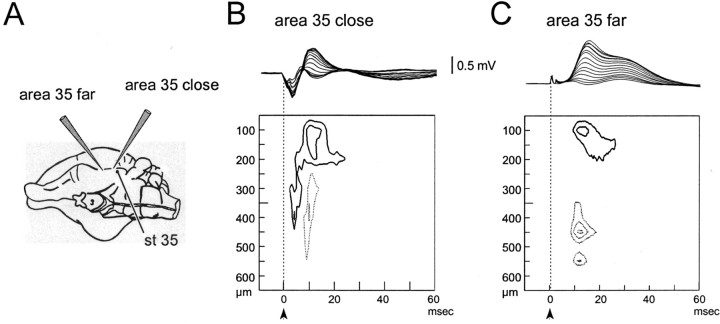 Fig. 3.