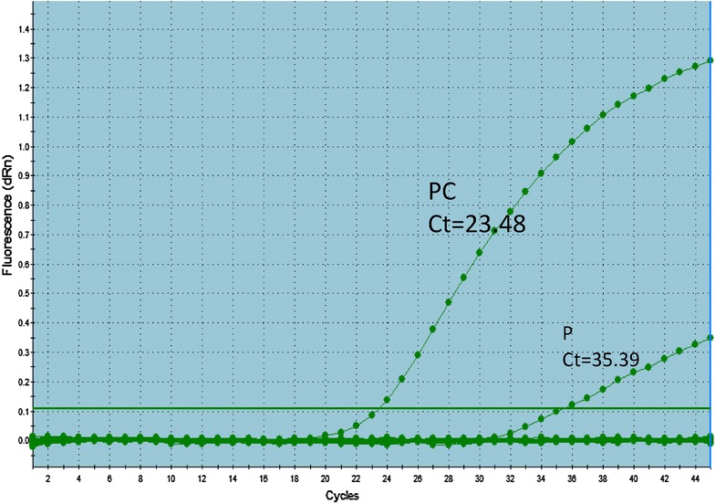 Fig. 2