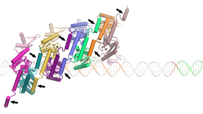 Figure 8—figure supplement 2.