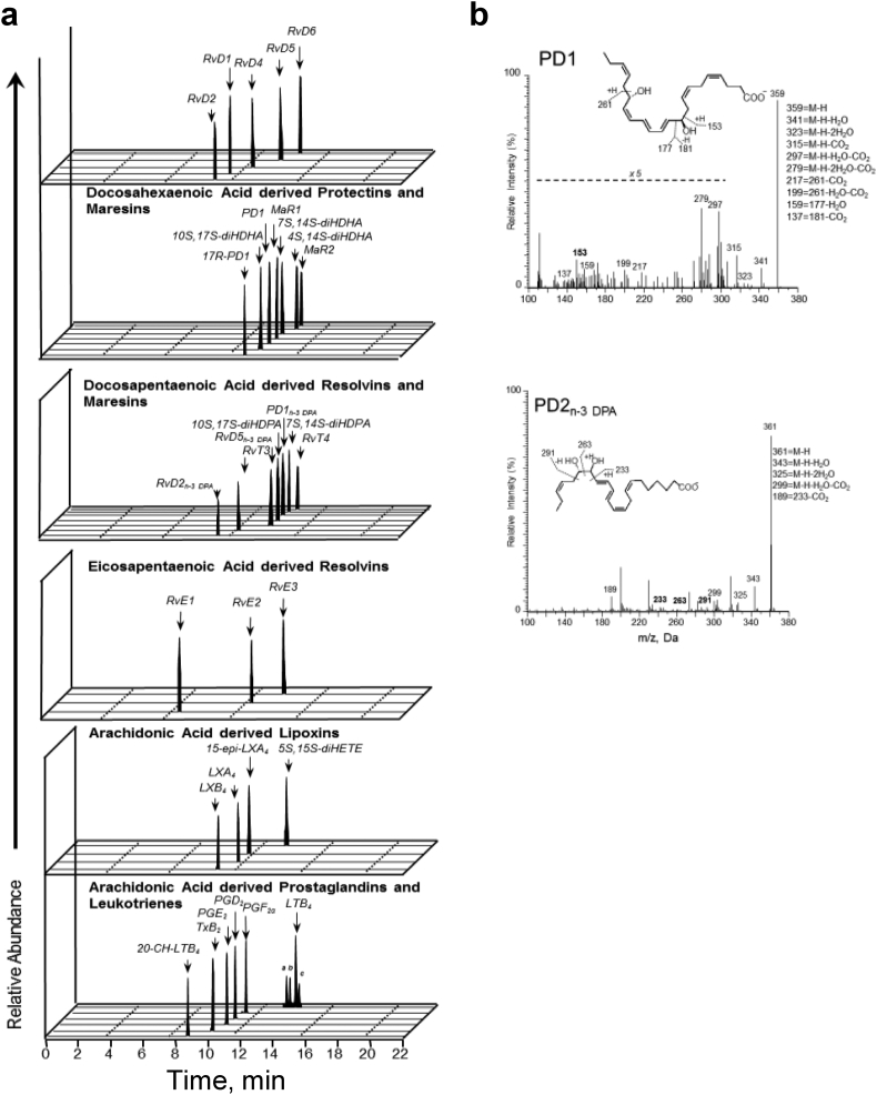 Supplementary Fig. S1