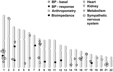 Figure  4