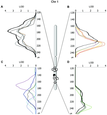 Figure  5