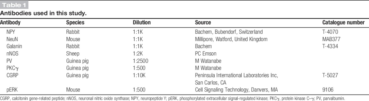 graphic file with name jop-157-598-g001.jpg