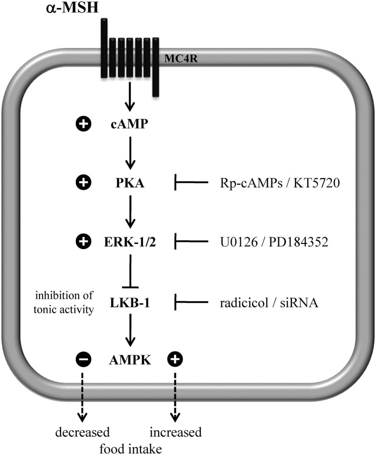 Fig. 9.