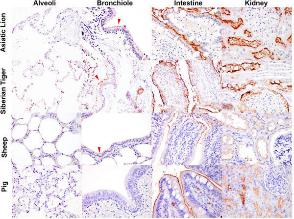 FIGURE 3