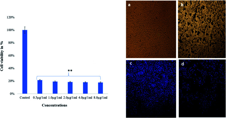 Fig. 9