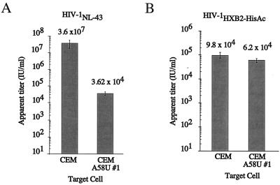 FIG. 7