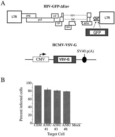 FIG. 6