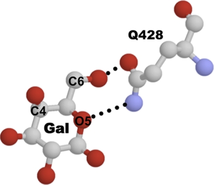 FIGURE 4.