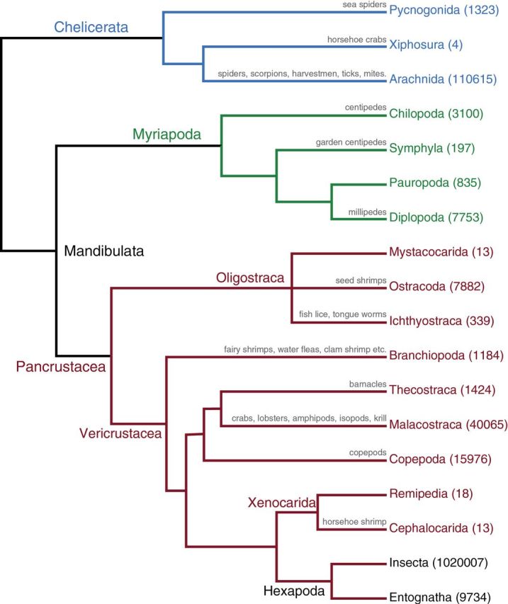 Figure 3.