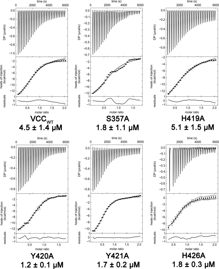 FIGURE 4.