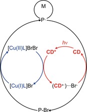 Scheme 2