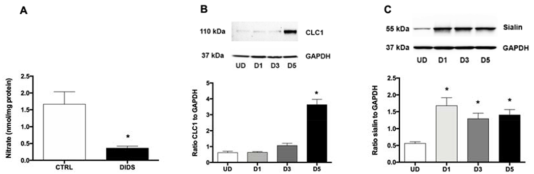 Figure 5.