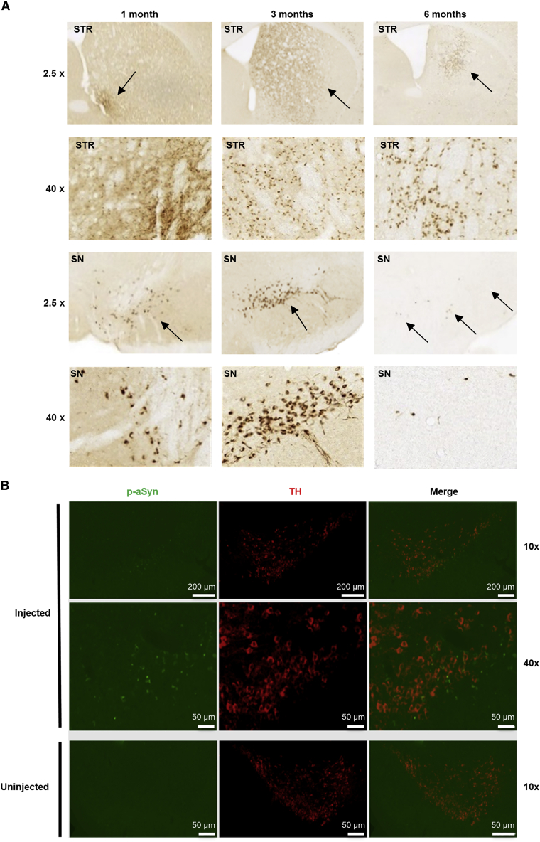 Figure 6