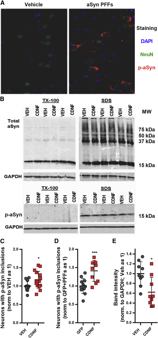 Figure 5