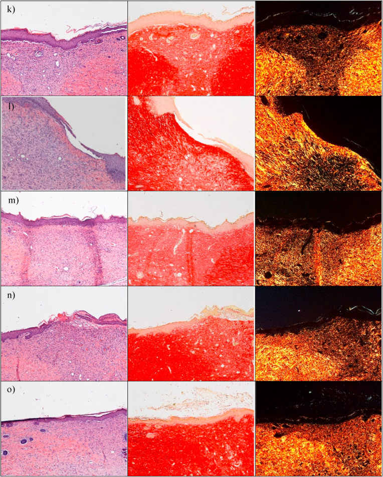 Fig. 8