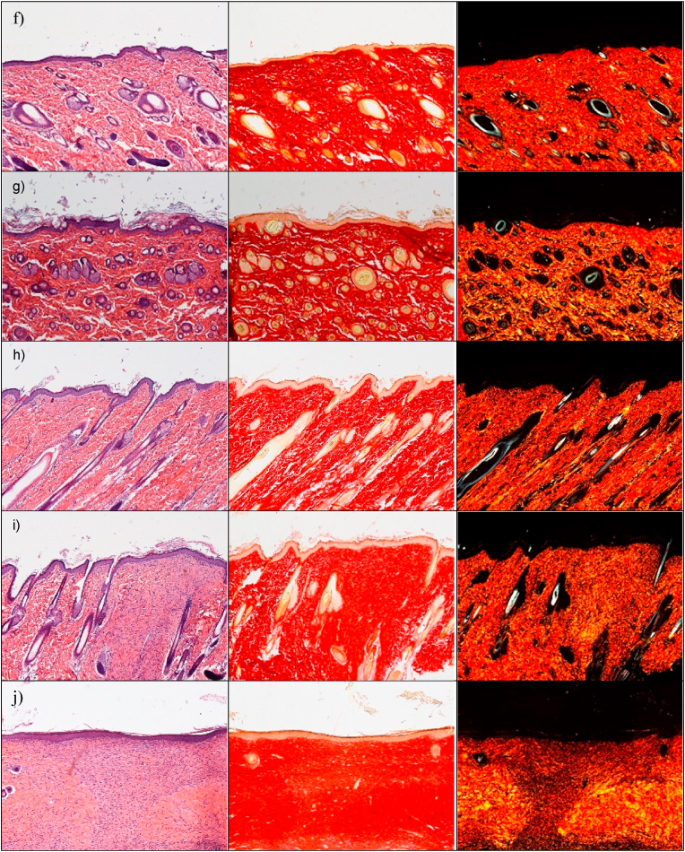 Fig. 8