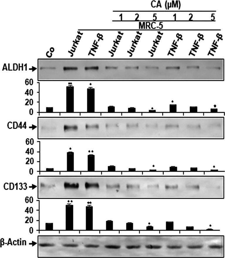 Figure 6