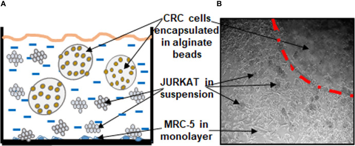 Figure 1