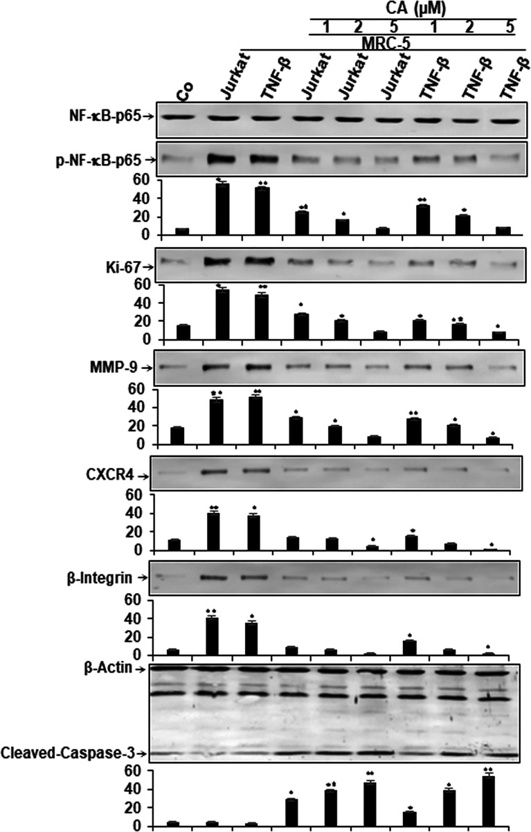 Figure 5