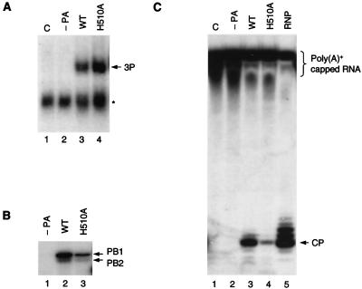 FIG. 5.