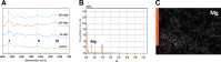 <b>FIG. 3.</b>