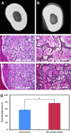 <b>FIG. 10.</b>