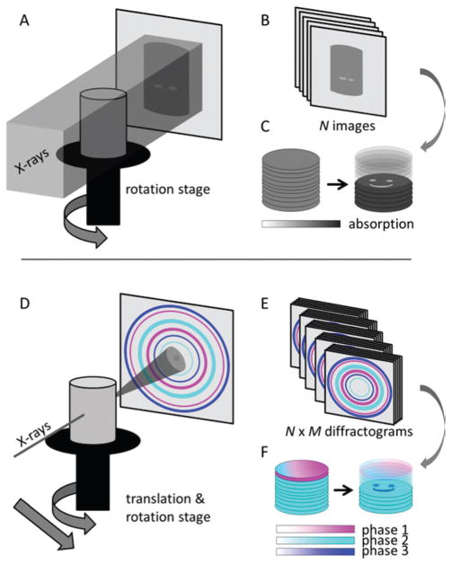 Fig. 1