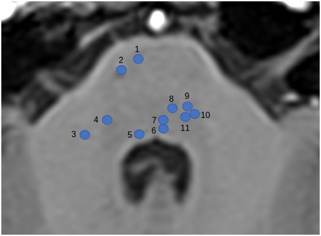 Fig 6