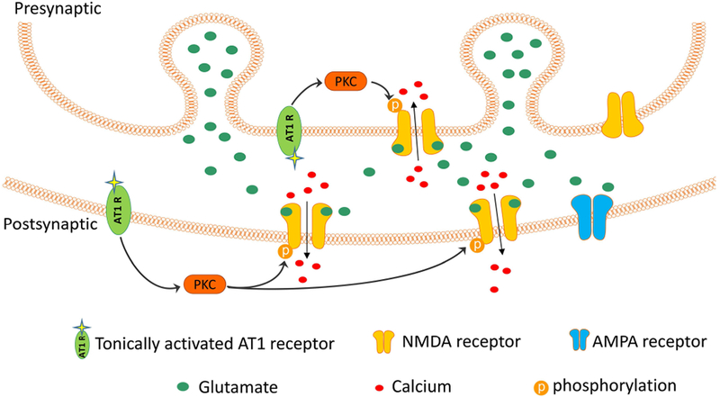 Figure 7.