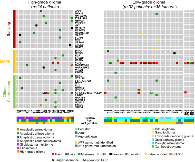 Extended Data Fig. 10 |