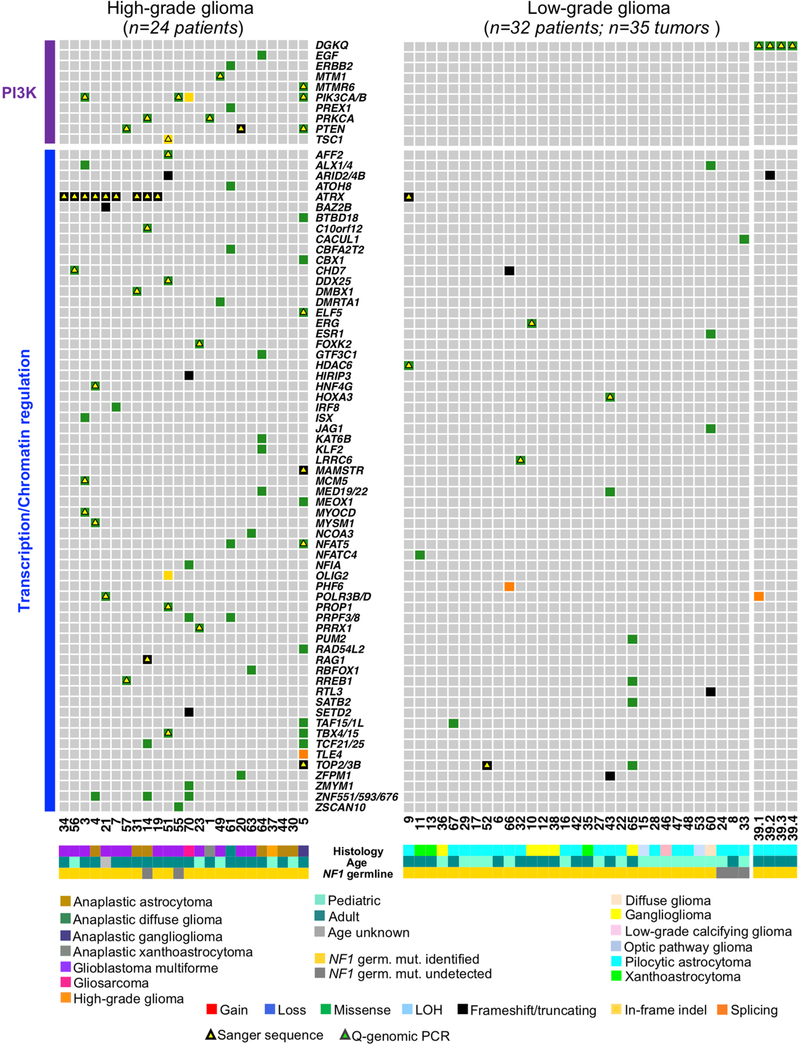 Extended Data Fig. 9 |