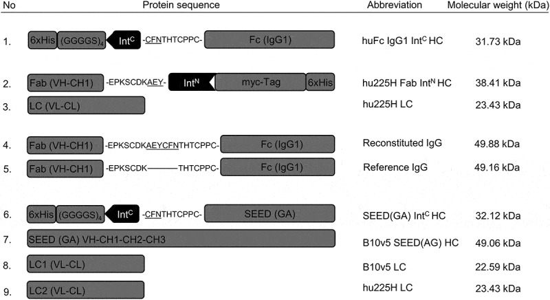 Figure 2.