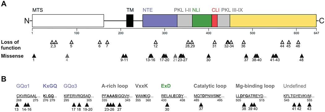 Figure 1: