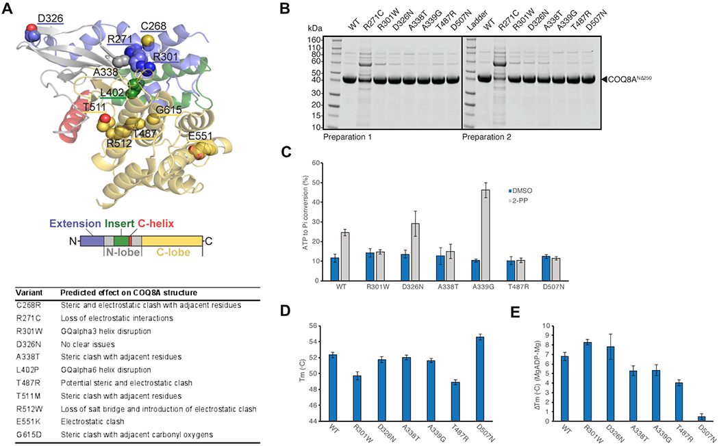 Figure 2: