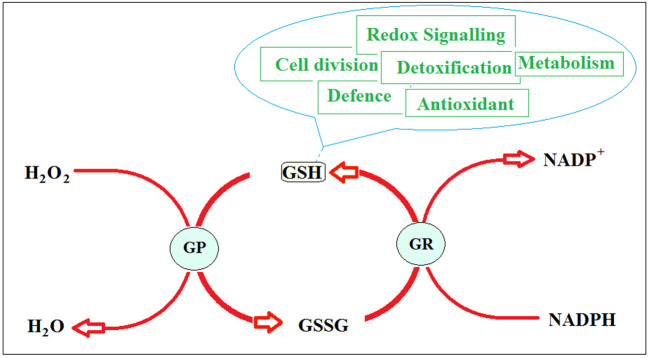 Figure 1.