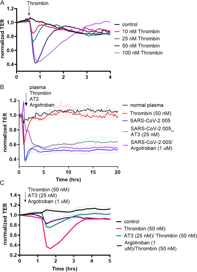 FIG 2