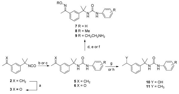 Scheme 2