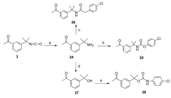 Scheme 5