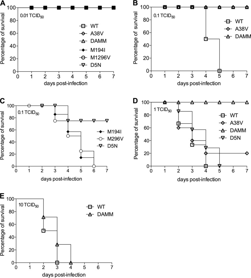 FIG 6