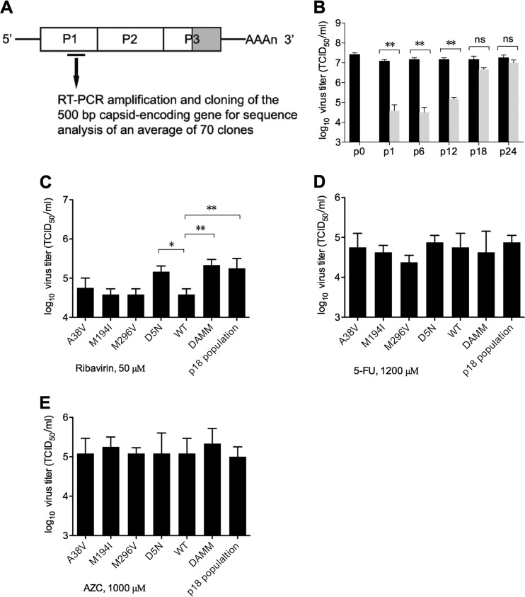 FIG 1