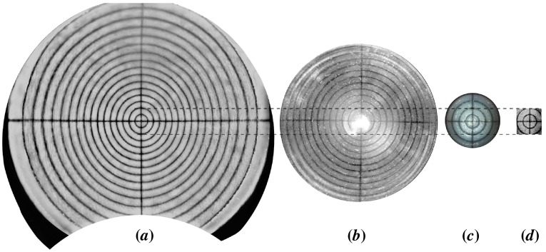 Figure 6. 